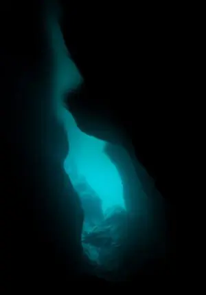 UNDERWATER IMAGES