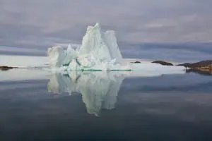 Alternate View