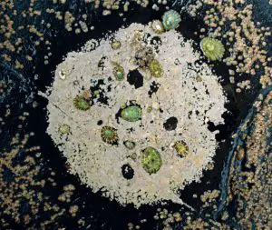 Another Planet