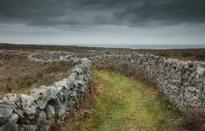 Aran Walls