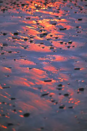 Borth Colours