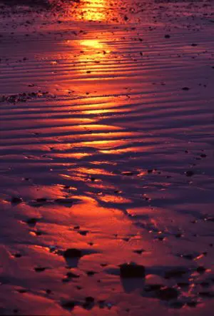 Borth Sunset