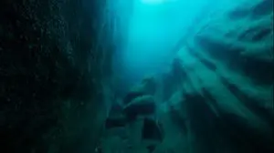Chamber