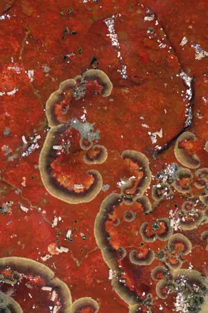 Rusty Contours