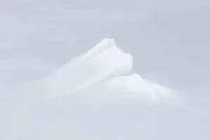 Clear Lead
