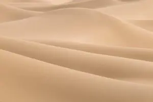 Dream Lines