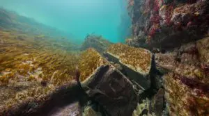 Ebb and Flow