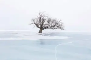 Endurance