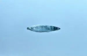 Floating Berg