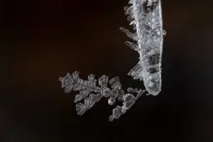 Hanging on