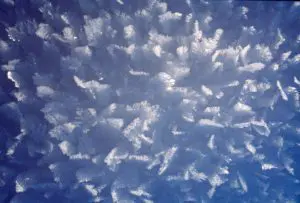 Hors Frost