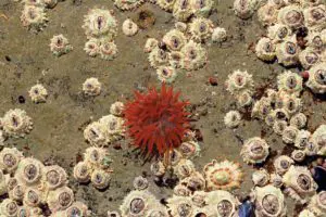 Feeding Time