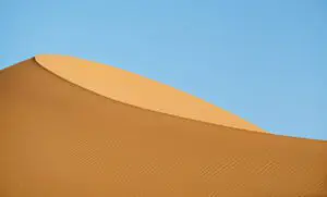 Merzougan Wonder