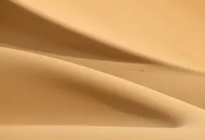 Moroccan Gold