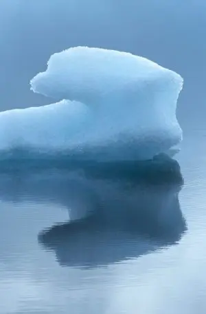 Polar Ice