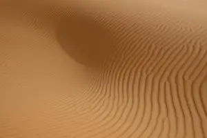 Sand Print