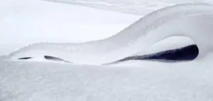 Sculpted Snow