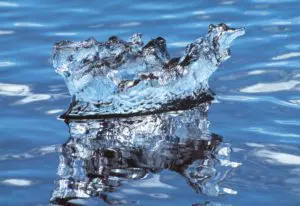 Sculpture 1