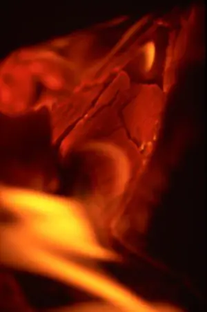 Serpent Flame