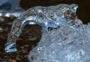 Sparkling Trunk