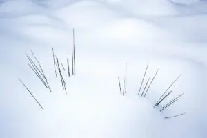 Celtic Winters