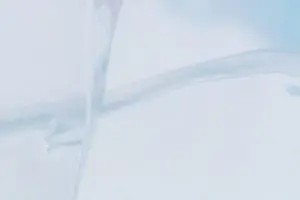 The X