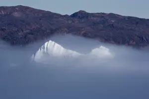 Twin Peeks