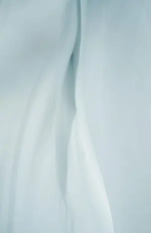 Virgin Snow