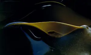 Tidal Breach