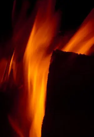 Winter Warmth
