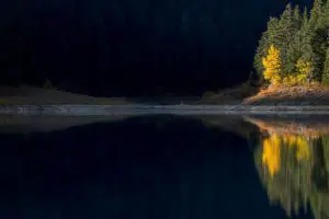 First Light