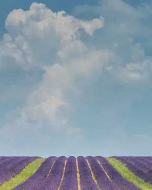 Provence