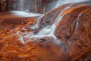 Red Foss 2