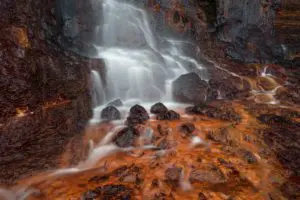 Red Foss 3