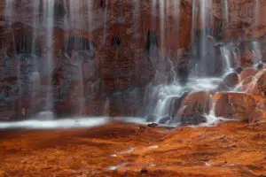 Red Foss 1