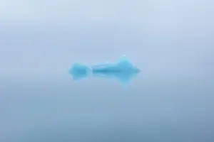Solo