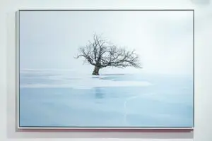 White Tray Frame