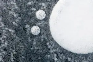 Phobos and Deimos