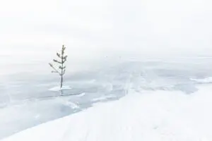 Returned