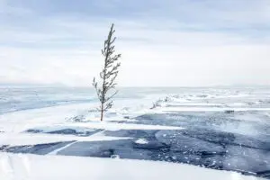 Standing Strong