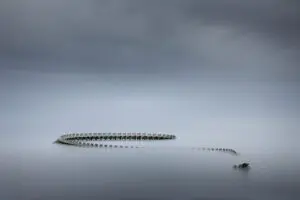 Serpent d'Oceán