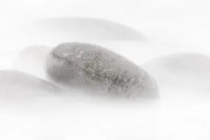 Emergence