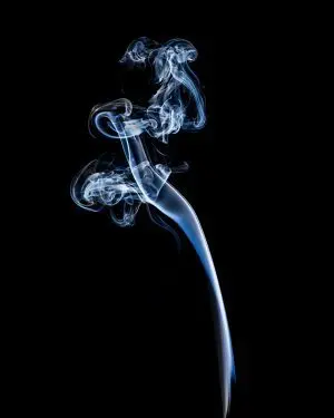 Wisp